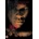 Fallen DVD