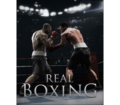 Real Boxing