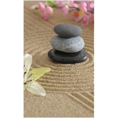 DIMEX ART Флизелинов фототапет дзен градина 150 x 250 см