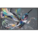 Philips 55BDL3511Q