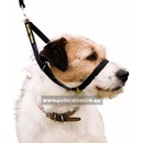 Canny Collar obojek výcvikový