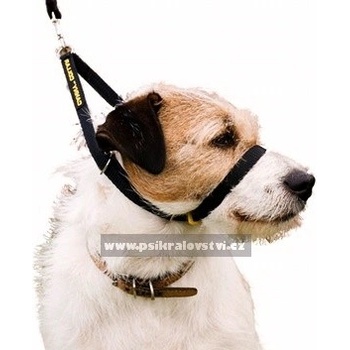 Canny Collar obojek výcvikový