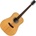 Pasadena PD-500 All Solid Natural Gloss Акустична китара