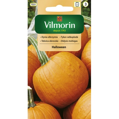 Tykev velkoplodá Helloween Vilmorin Classic 2 g cca 15 semen