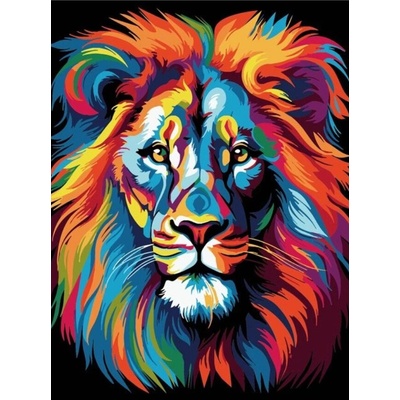 Reeves Malování podle čísel na černé plátno LEV 30 x 40 cm – Zbozi.Blesk.cz