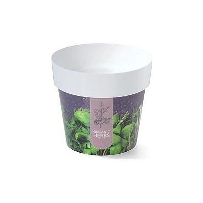 Prosperplast DML160H1 HERBS