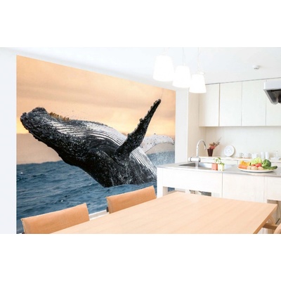 Dimex MA-5-0508 Samolepicí vliesová fototapeta na zeď Skákání velryby rozměry 375 x 250 cm