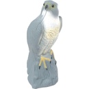Bradas Plašič vtákov 17/17 5/41cm Sokol CTRL-BR103