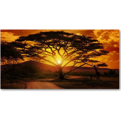 Foto obraz fotografie na skle západ Afrika 100x50 cm