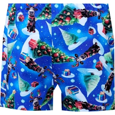 Foltýn dětské trenýrky DT136