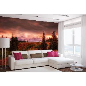 DIMEX ART Самозалепваща се флизелинова фототапета аляска aurora borealis 375 x 250 см