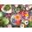 EUROGRAPHICS - Puzzle Zen Spa by Anastasia - 1 000 piese