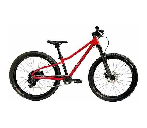 Rascal Wild 24 2025