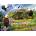 SunsOut - Puzzle Lori Schory - Eagle Valley - 1 000 piese