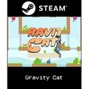 Gravity Cat