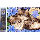 Norimpex Diamantové malování Tři koťata v květinách 30 x 40 cm