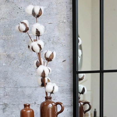 Chic Antique Dekoratívne sušené kvety Cotton Flowers