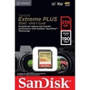 Paměťové karty SanDisk SDXC UHS-I U3 256 GB SDSDXWV-256G-GNCIN