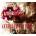 Afterfall Insanity (Extended Edition)