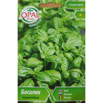 Opal Zi Босилек / Ocimum basilicum