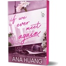 If We Ever Meet Again