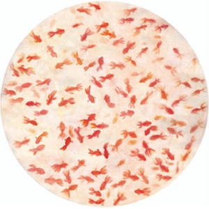 Driade Чиния за сервиране The White Snow Kingyo 32 см червено-оранжев (DW017M0012D81)