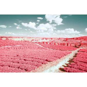 DIMEX ART Флизелинов фототапет инфрачервен пейзаж 375 x 250 см