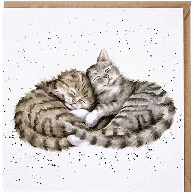 Wrendale Designs Přání Wrendale Designs "Sweet Dreams ", 15x15 cm - Kočky