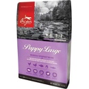 Orijen Dog Puppy Large 2 x 11,4 kg