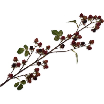 Ostružiny větev hnědá V113 cm