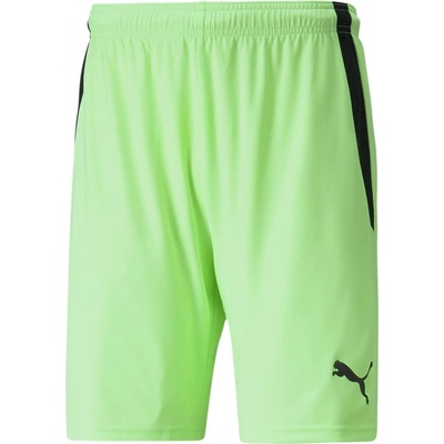 Puma teamLIGA Shorts – Zboží Mobilmania