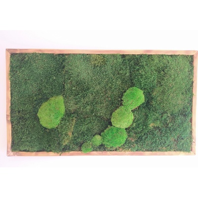Mechový obraz- lesný mech 30cm x 70cm