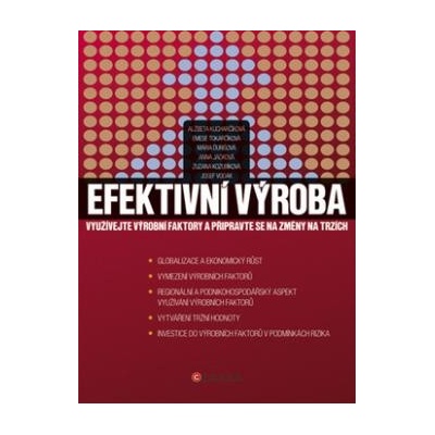 Efektivní výroba