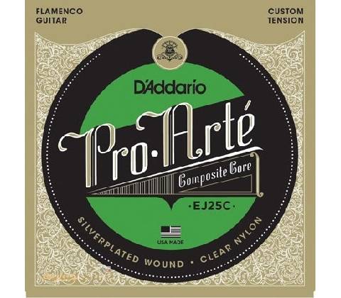 D'ADDARIO EJ25C