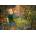 Grafika Art Puzzle - Puzzle Josephine Wall: Lucky Leaf - 1 000 piese