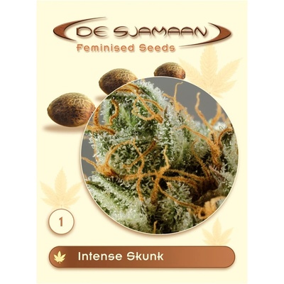 De Sjamaan Seeds Intense Skunk semena neobsahují THC 3 ks