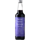 Sirupárna Domácí Borůvka & Šalvěj Sirup 0,5 l