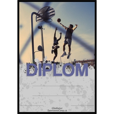 DB03g Diplom basketbal
