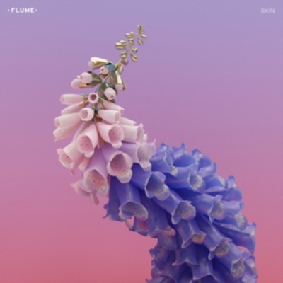 FLUME - SKIN CD