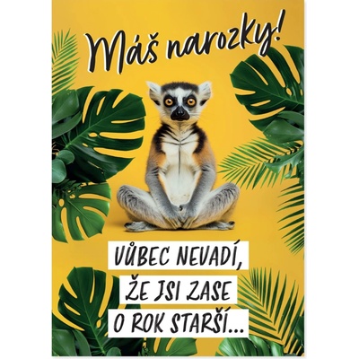 Albi Hrací přání k narozeninám - Lemur – Zboží Dáma