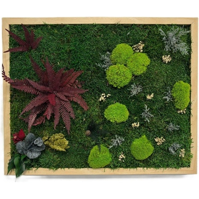 Mechový obraz – Paradise II Velikost rámu: 50x70cm