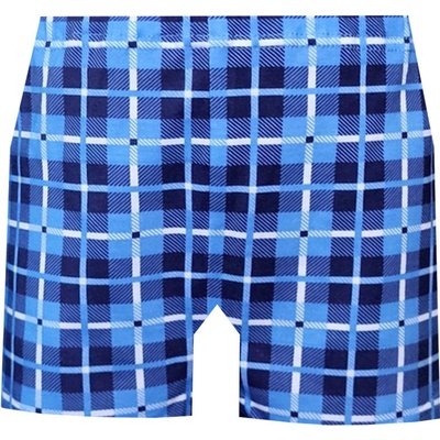 Foltýn dětské trenýrky DT113