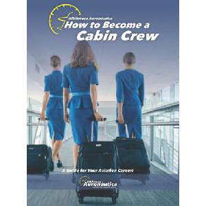 How to become a Cabin Crew. The flight attendant book (2024)