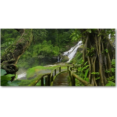 Foto obraz sklo tvrzené Vodopád v džungli 100x50 cm
