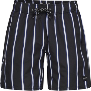 BLEND Bhrick vertical strp swim m