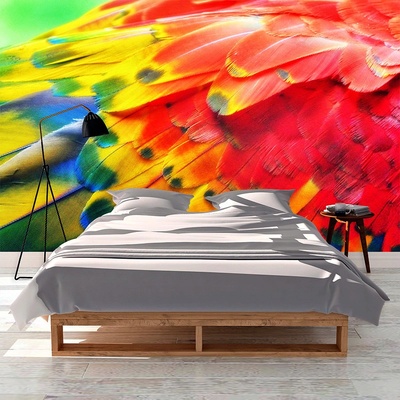 Tapeta SABLIO Barevné peří 2, rozměry 336x220 cm