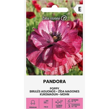 Seklos Мак Пандора Papaver rhoeas