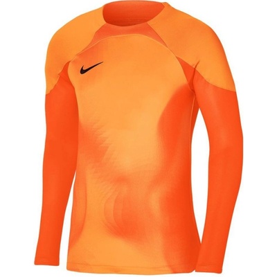 Nike Gardien IV Goalkeeper Jersey DH7967 819 goalkeeper jersey