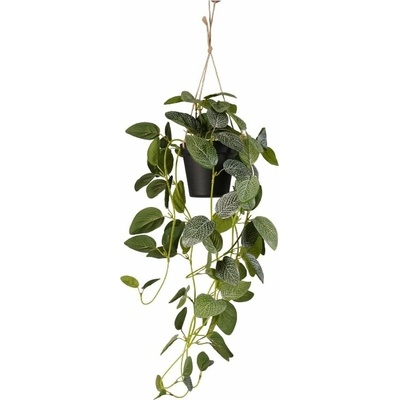 Umelá Fittonia v závesnom kvetináči, 70cm
