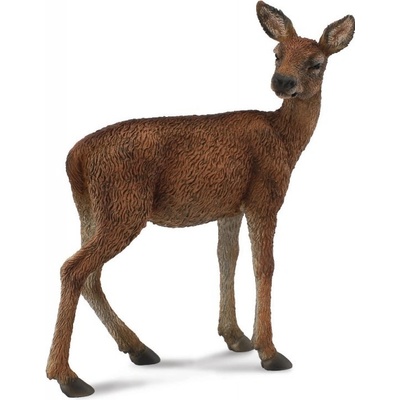 Collecta Laň